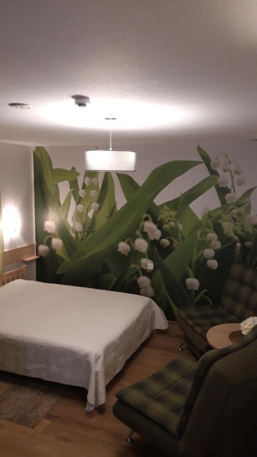 Viesu Nams Zala Sala Hotel Litavniki Buitenkant foto