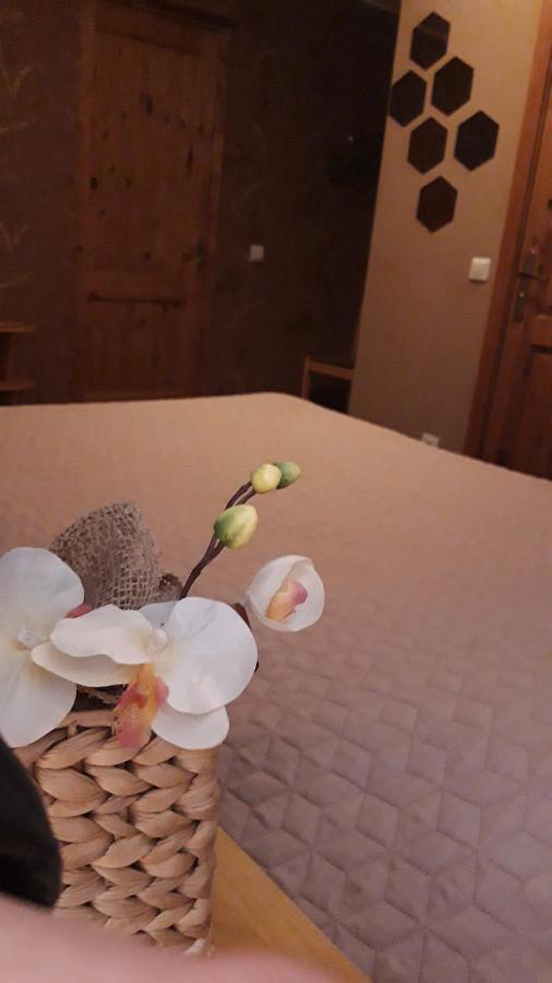 Viesu Nams Zala Sala Hotel Litavniki Buitenkant foto